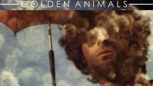 Golden Animals Hear Eye Go