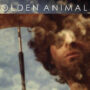 Golden Animals Hear Eye Go