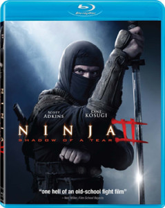 NINJA shadow of a tear BOXART