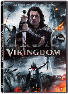 box art VIKINGDOM