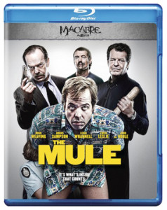 The Mule BOXART