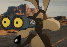 Remember those Saturday morning cartoons that featured our loveable looney toons characters that always seemed to make us laugh. Like today, you might find many of those early episodes somewhere on YouTube and spend the day enjoying those videos, because you can't get enough of the crazy antics of Daffy Duck, the smart alick remarks from Bugs Bunny, or the devious plans the coyote made to attempt to finally catch that roadrunner.