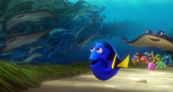 Dory checks out the migrating rays in FINDING DORY