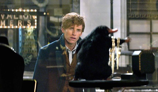 Eddie Redmayne as Newt withe a Niffler in Fantastic Beasts and Where to Find Them