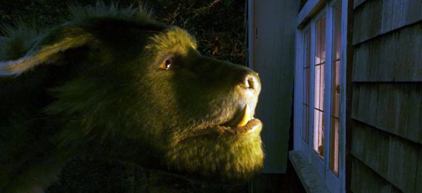 Elliot looks for Pete in PETE'S DRAGON