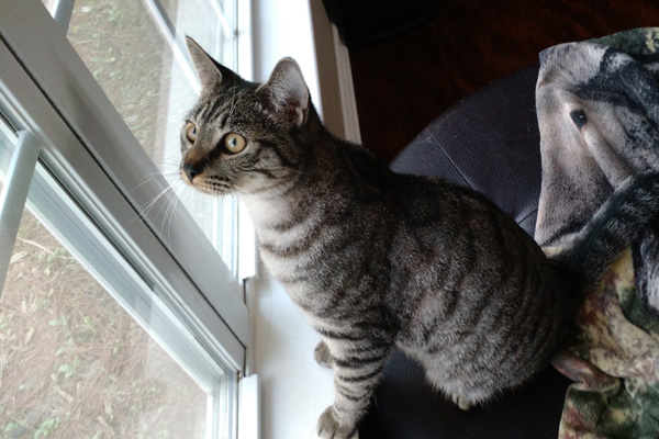 IMG_20150315_104654687