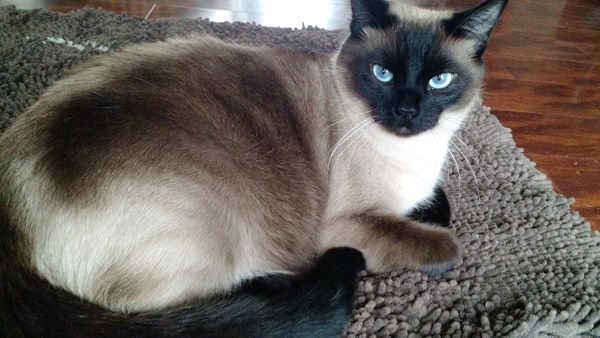 IMG_20150315_132749989