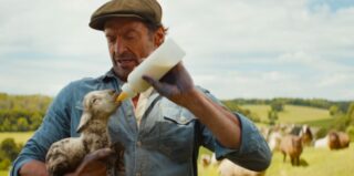 THE SHEEP DETECTIVES Silly Goose