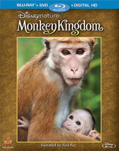 MONKEY KINGDOM boxart