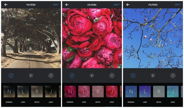 ReyesJunoLark ReyesJunoLark